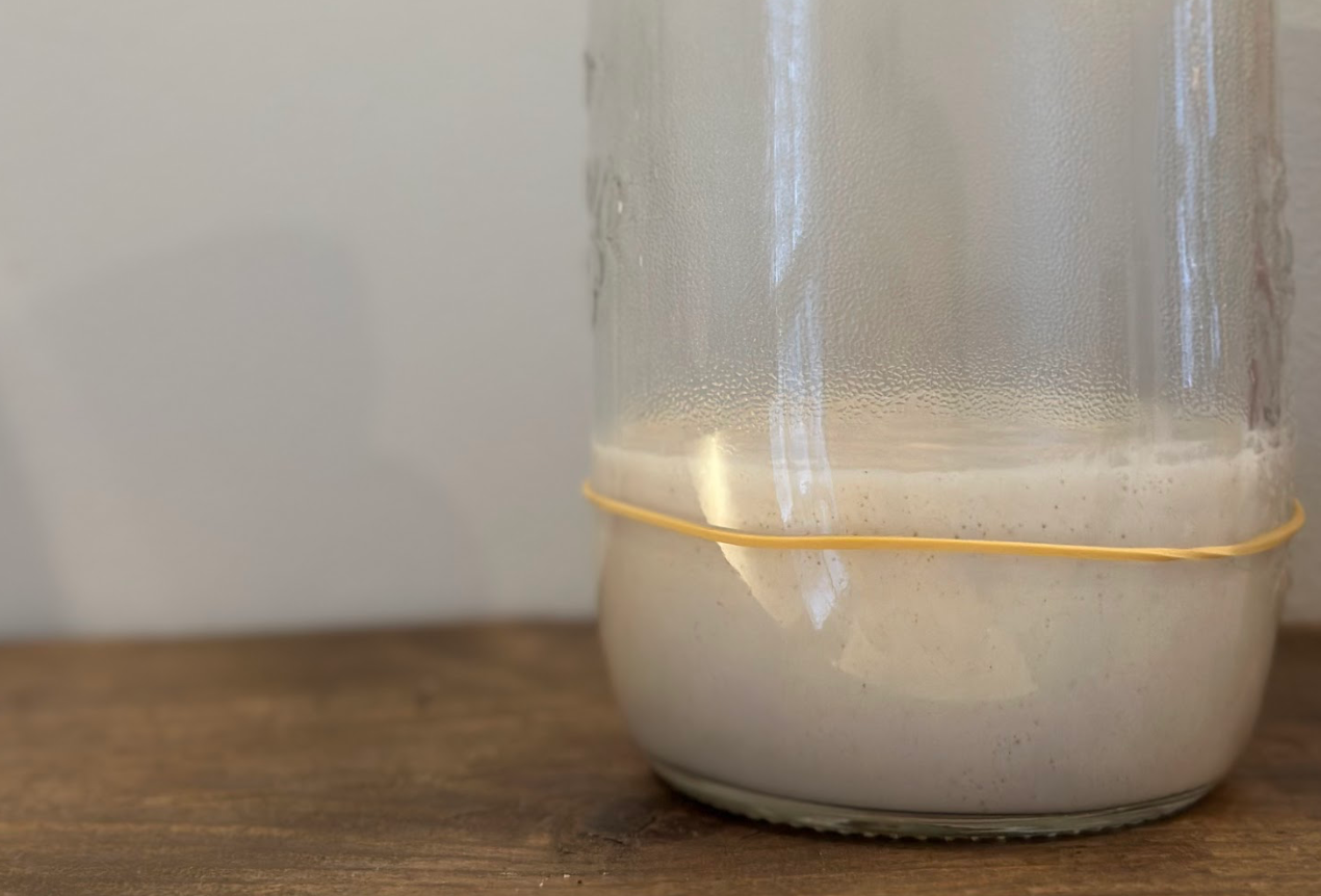 Kan een starter meer dan verdubbelen? + tips voor een sterke starter Kan een starter meer dan verdubbelen? + tips voor een sterke starter
