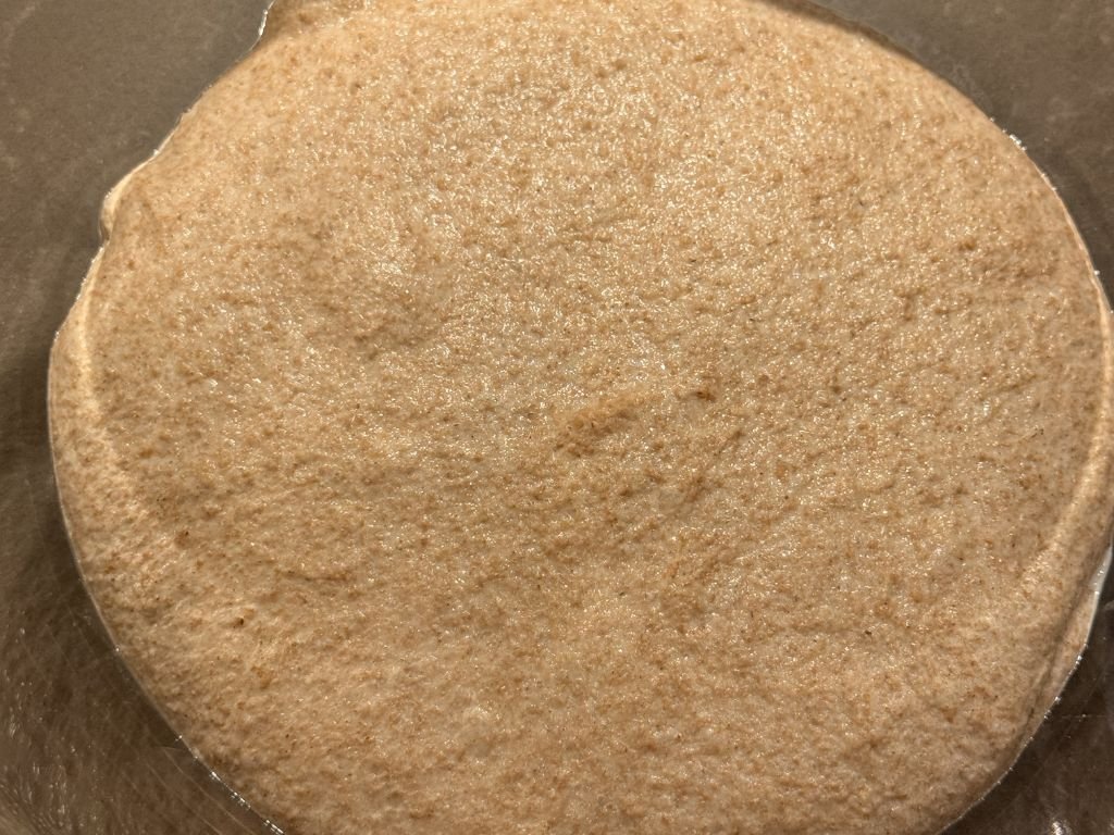 speltmeel-zuurdesembrood-bulkrijs-klaar-bovenkant-deeg speltmeel zuurdesembrood bulkrijs klaar bovenkant deeg